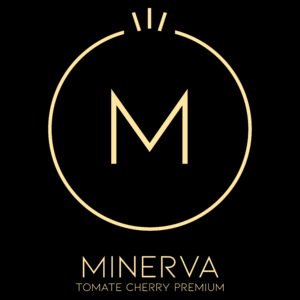 MINERVA Logo